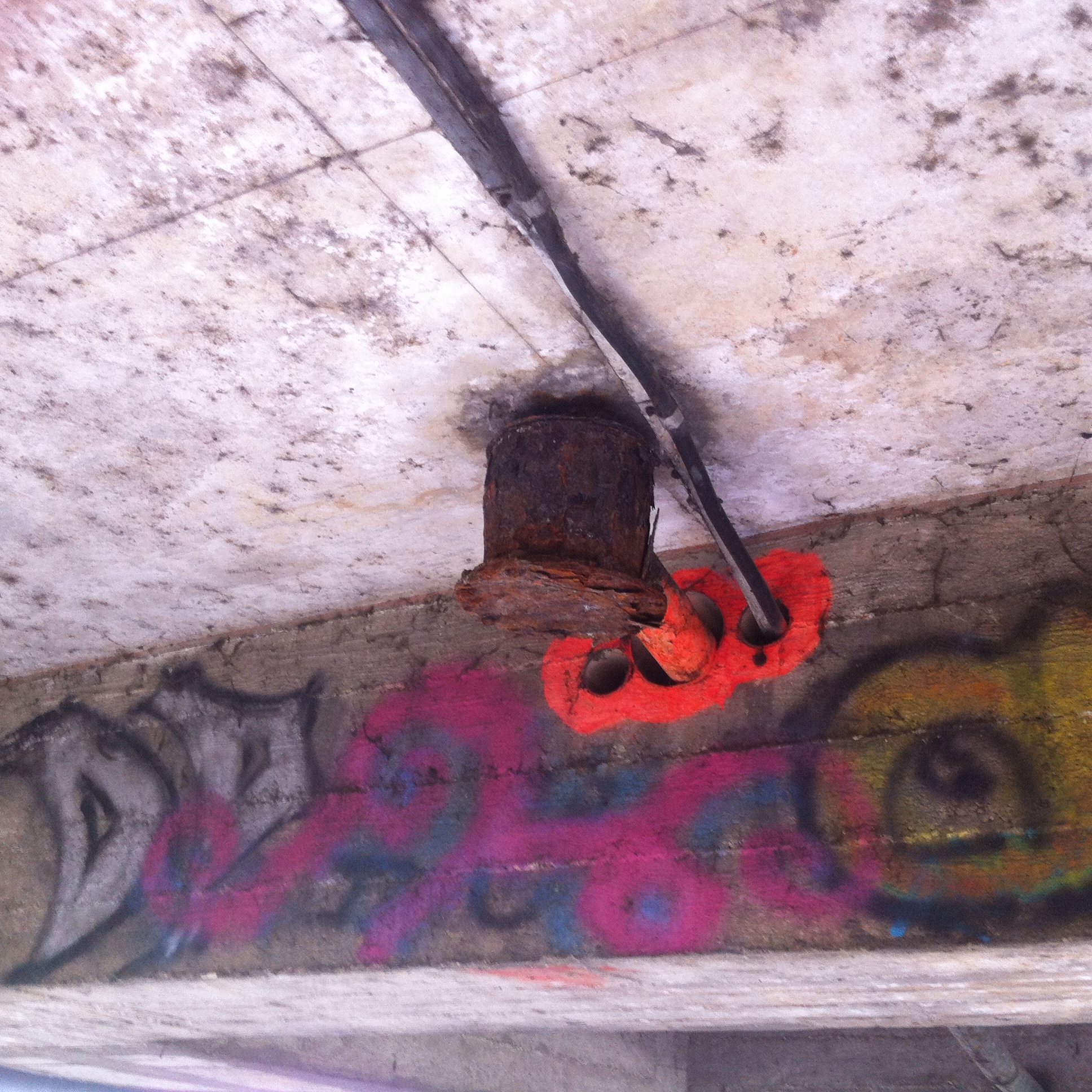 Andreja Žapčić / N1