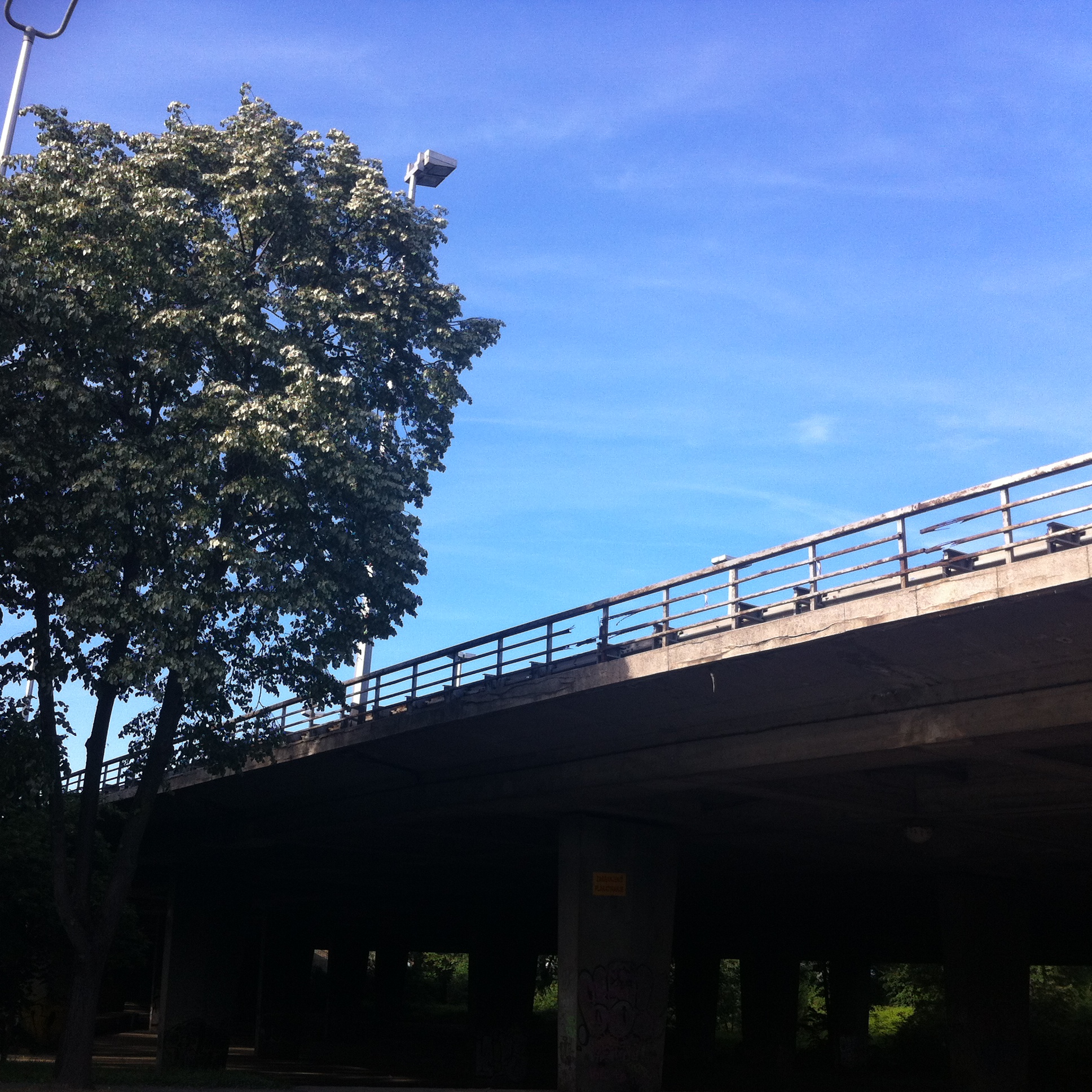 Andreja Žapčić / N1