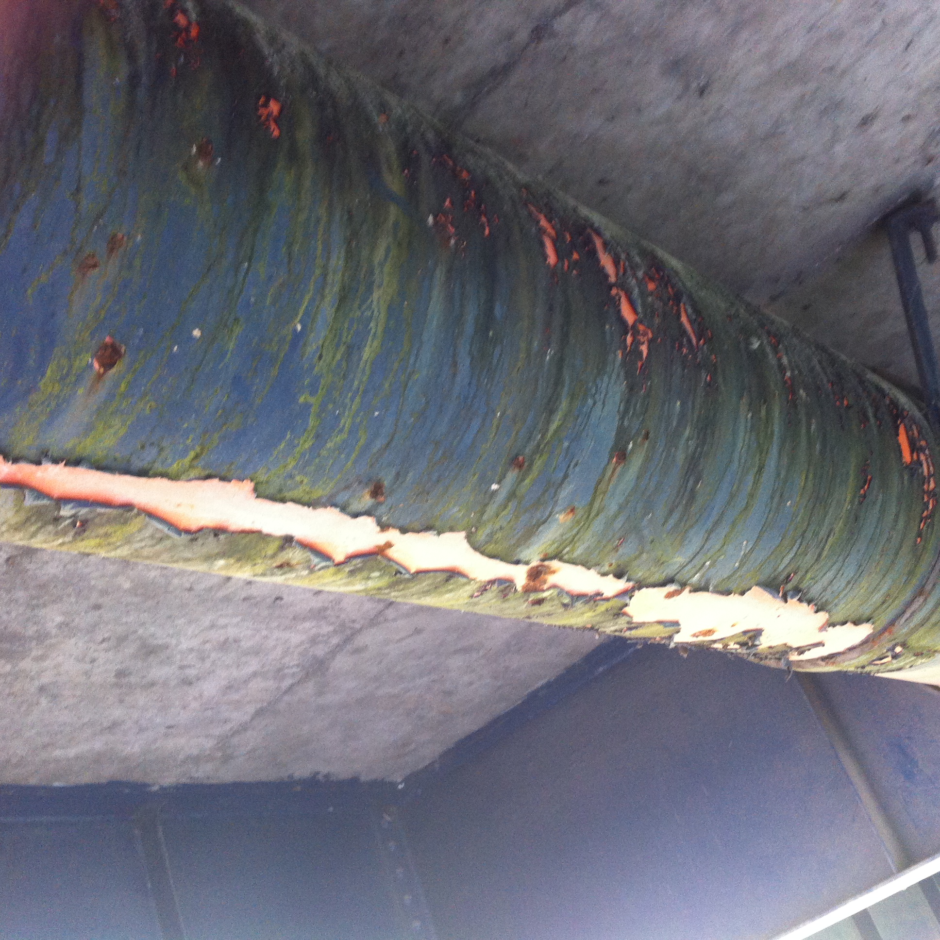 Andreja Žapčić / N1