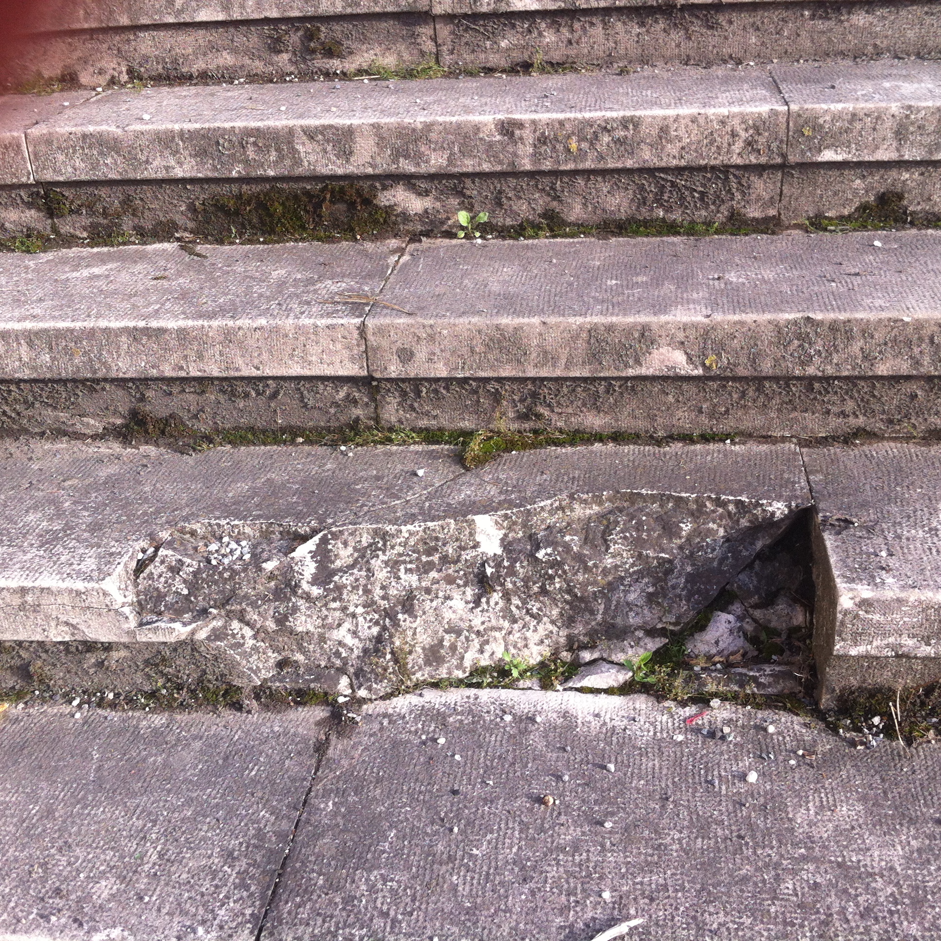 Andreja Žapčić / N1