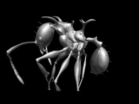 Mravi nalik zmajevima iz Igre prijestolja