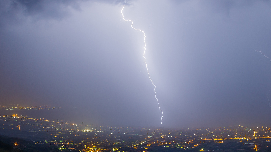 munje_malacka4-080615