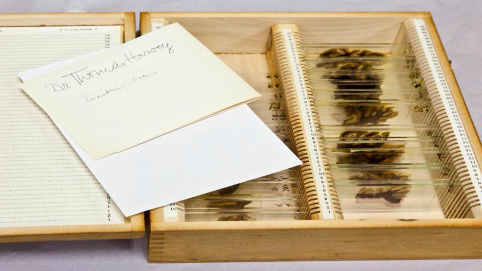 mutter muzej einstein