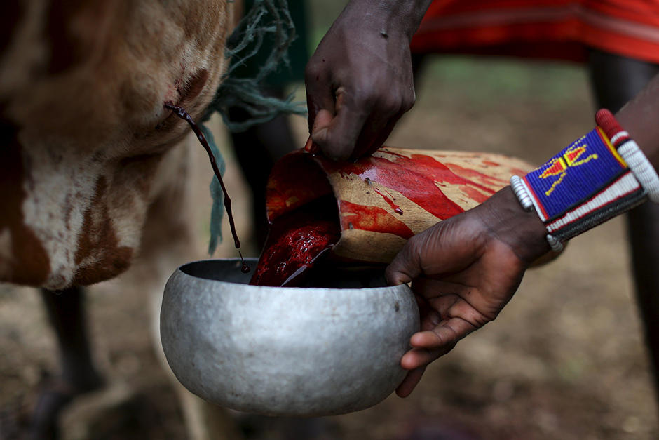 REUTERS/Siegfried Modola