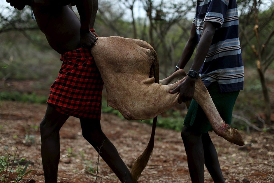REUTERS/Siegfried Modola