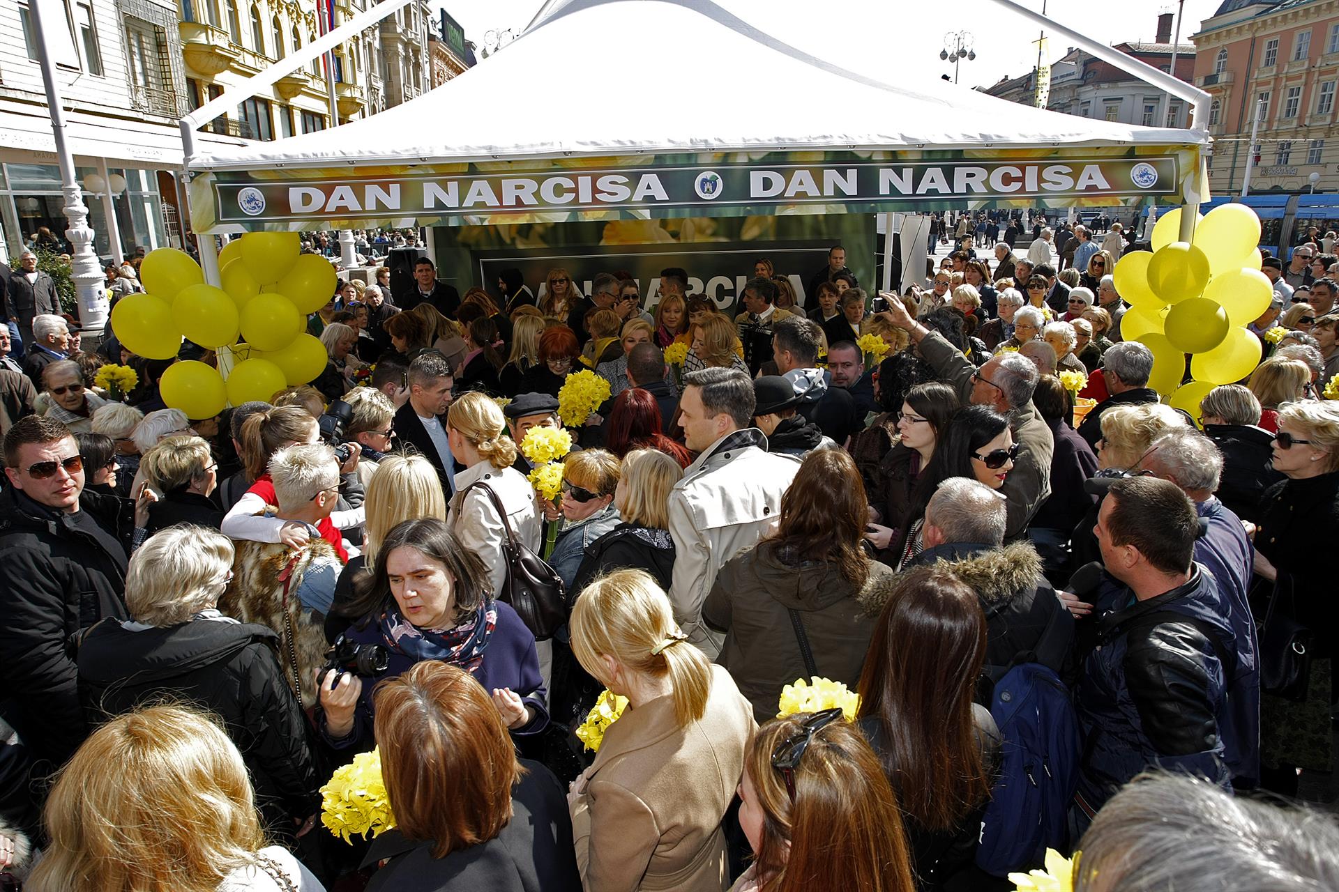 narcise_trg16-210315