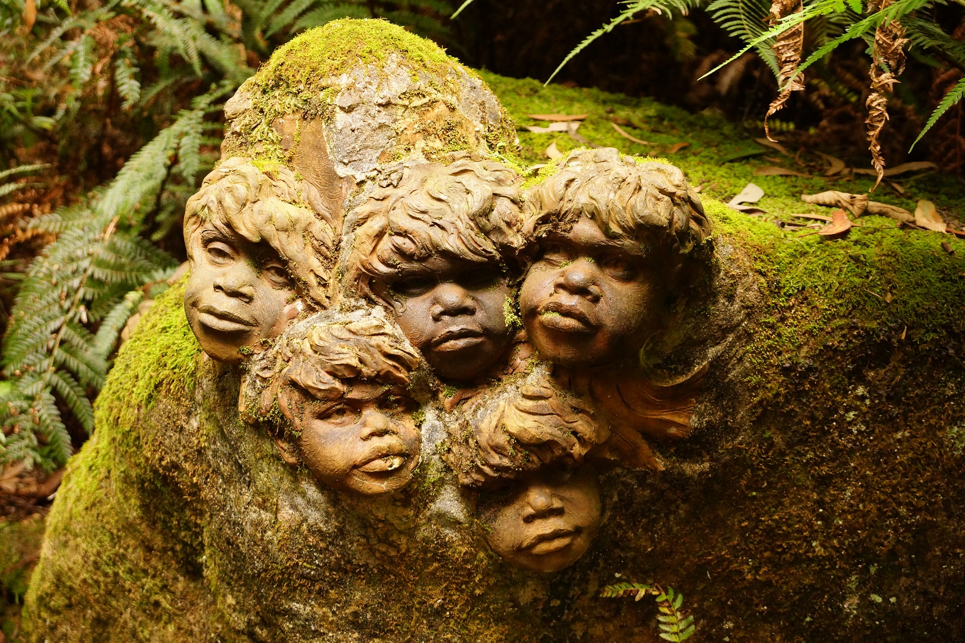 australija, aboridžini, ukradena generacija