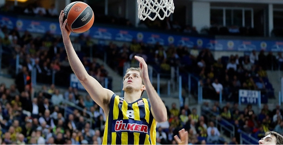 nemanja bjelica