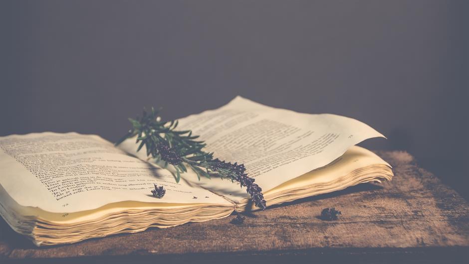 no-person-3091208_1920