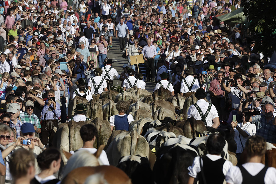 Tanjug/AP/Matthias Schrader