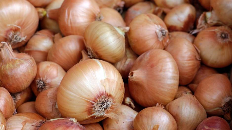 onions-1397037_1920