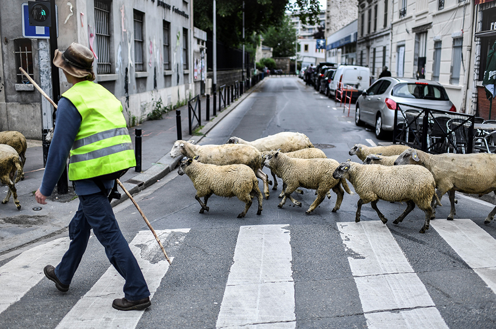 AFP/Stephane de Sakutin