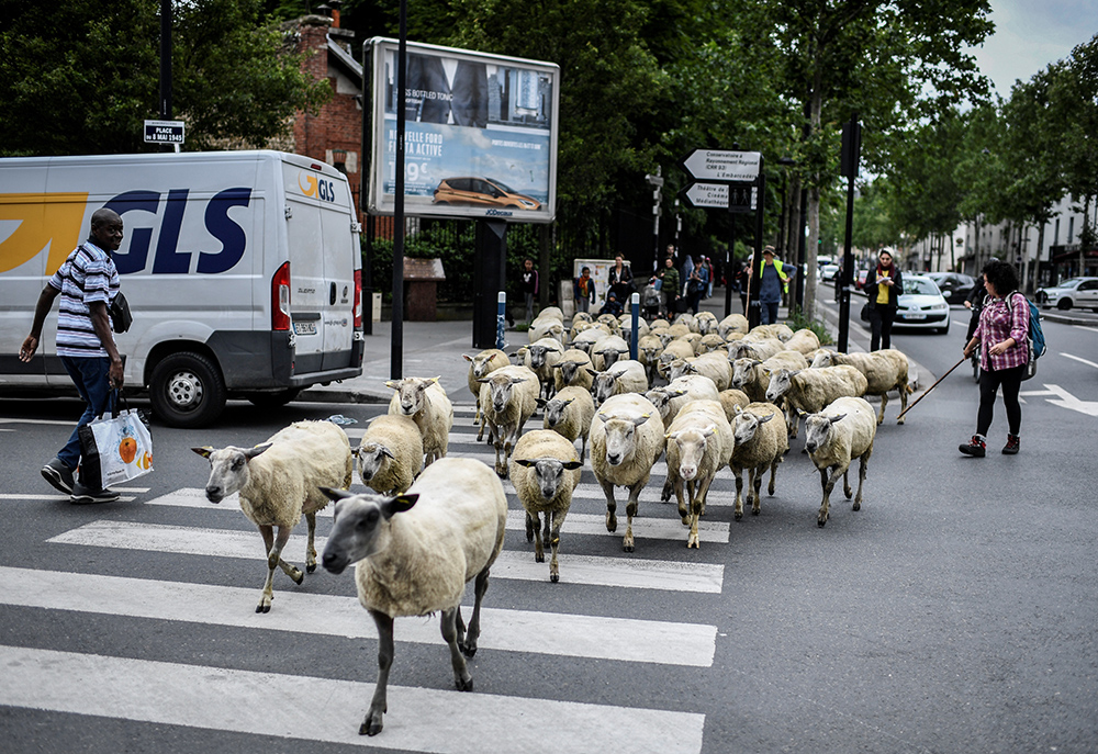 AFP/Stephane de Sakutin