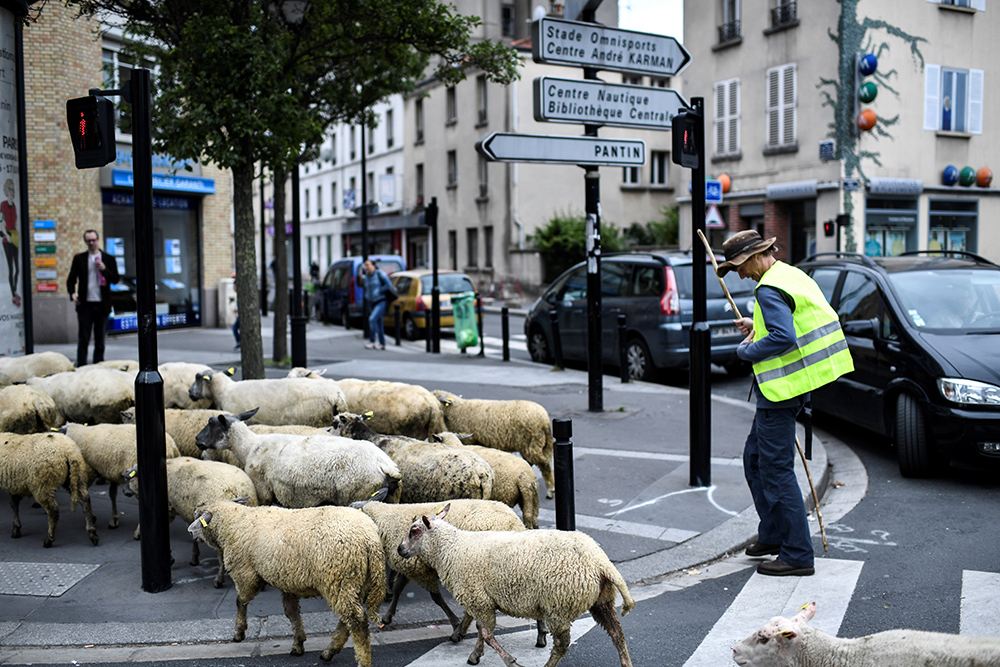 AFP/Stephane de Sakutin