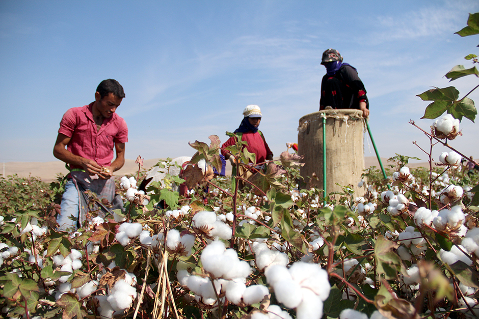 ANADOLIJA/Halil Fidan