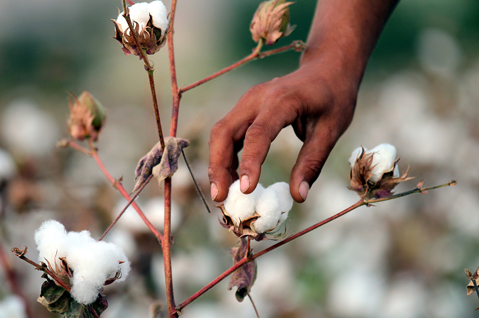 ANADOLIJA/Halil Fidan