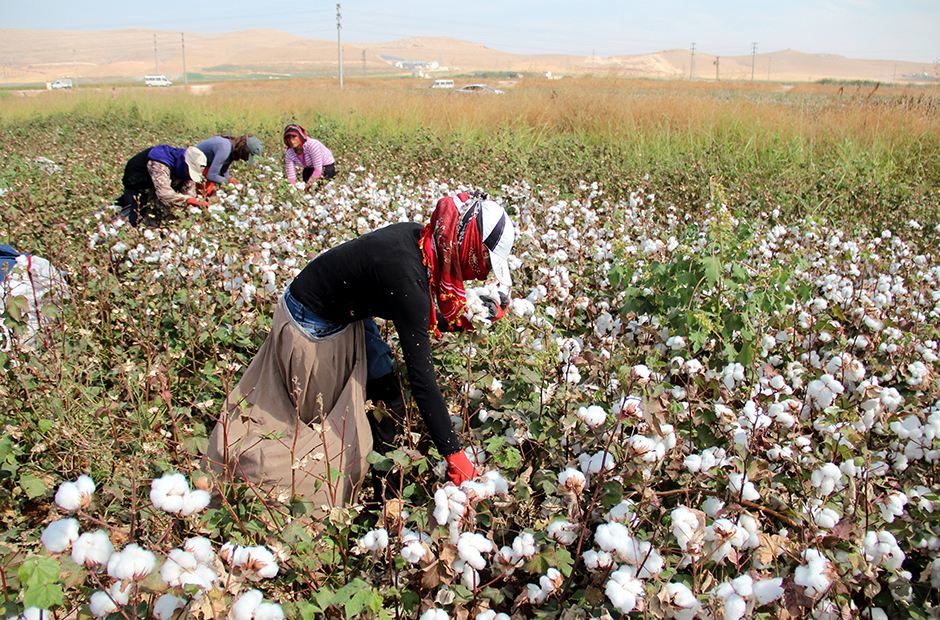 ANADOLIJA/Halil Fidan