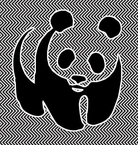 panda2
