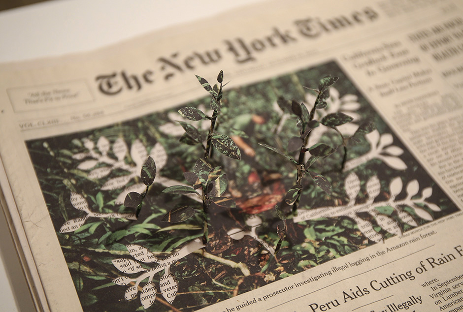 ANADOLIJA/Bilgin S. Sasmaz