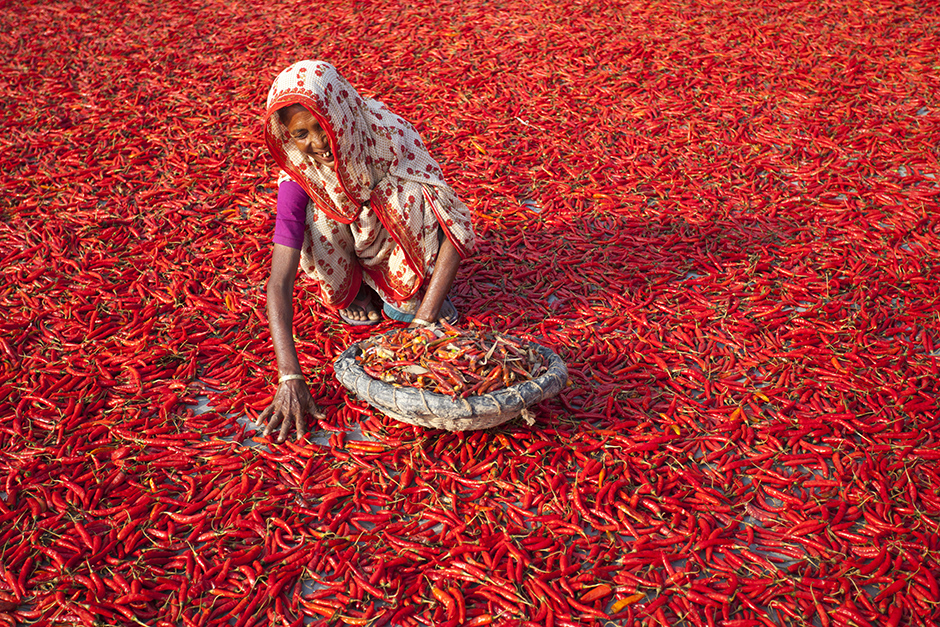 ANADOLIJA/Zakir Hossain Chowdhury