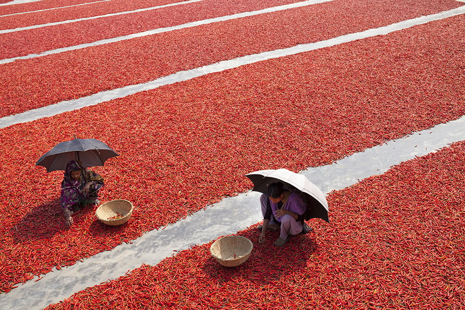 ANADOLIJA/Zakir Hossain Chowdhury