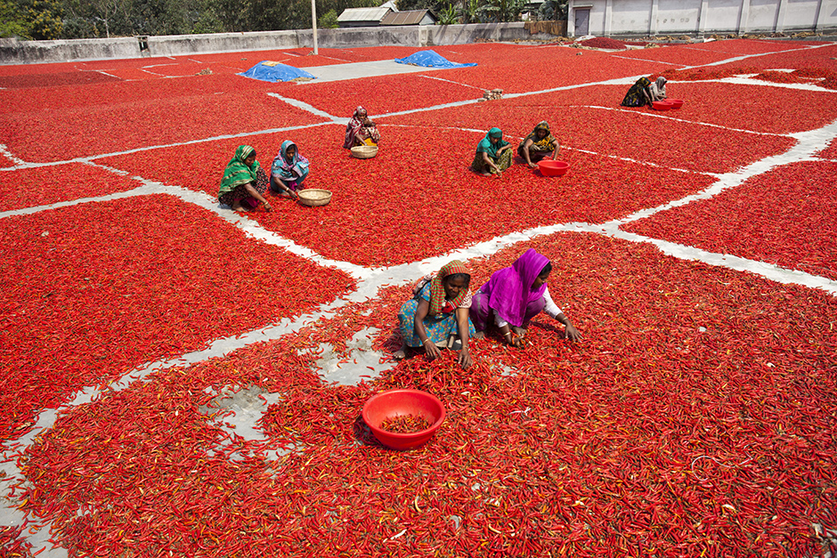 ANADOLIJA/Zakir Hossain Chowdhury