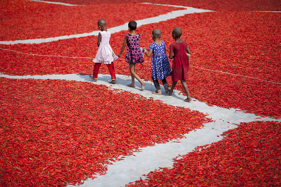 ANADOLIJA/Zakir Hossain Chowdhury