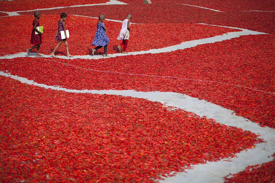 ANADOLIJA/Zakir Hossain Chowdhury