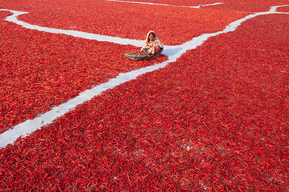 ANADOLIJA/Zakir Hossain Chowdhury