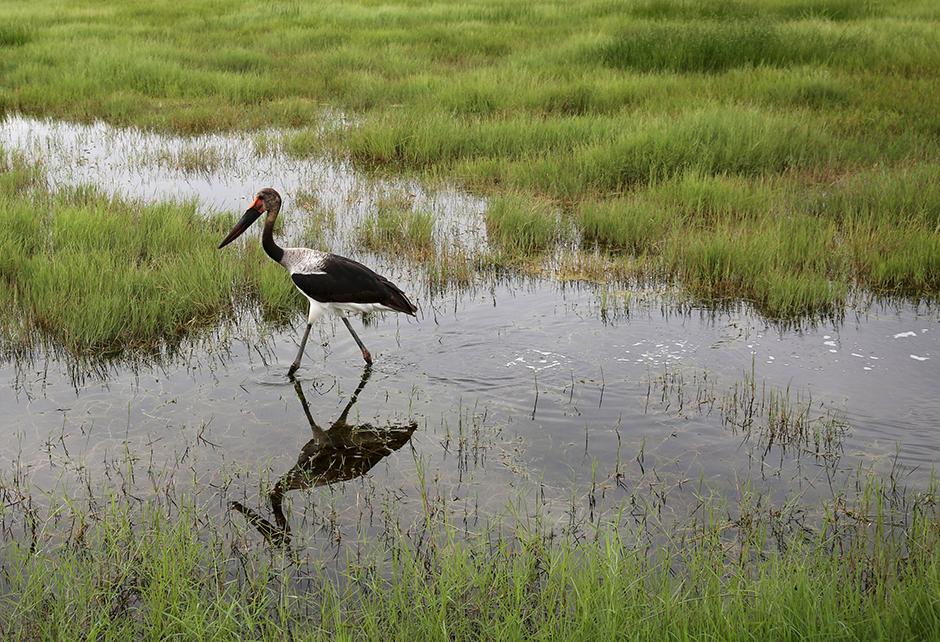 REUTERS/Goran Tomašević