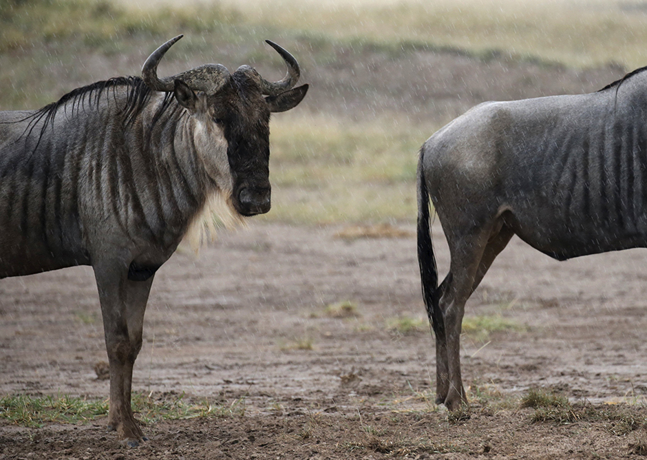 REUTERS/Goran Tomašević