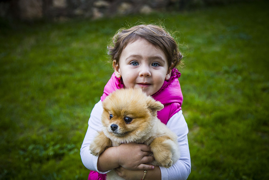 ANADOLIJA/Sergen Sezgin