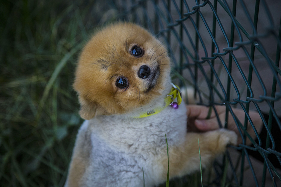 ANADOLIJA/Sergen Sezgin