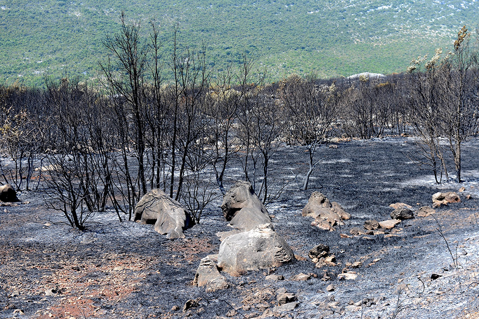 peljesac_jutro6-240715
