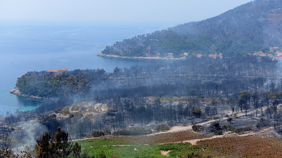 peljesac pozar cropix