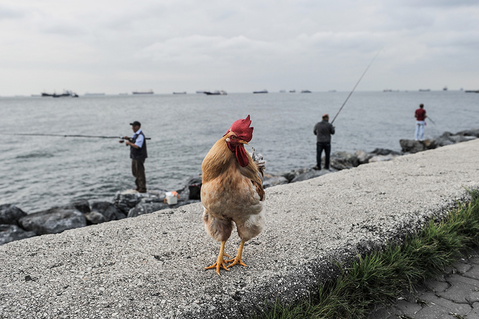 ANADOLIJA/Onur Coban