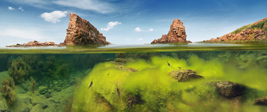 CROPIX/Todor Dimitrov