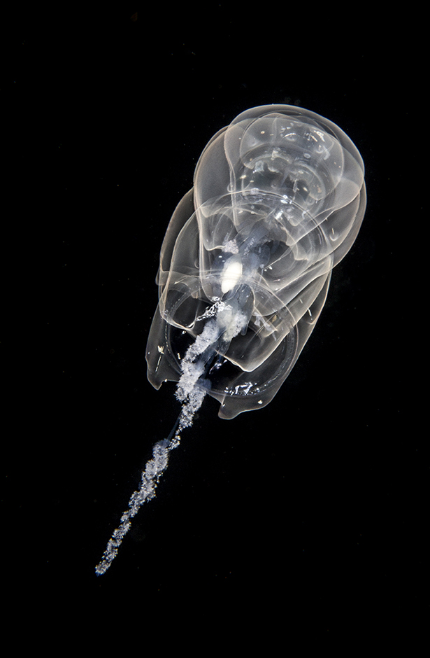 CROPIX/Kostas Milonakis