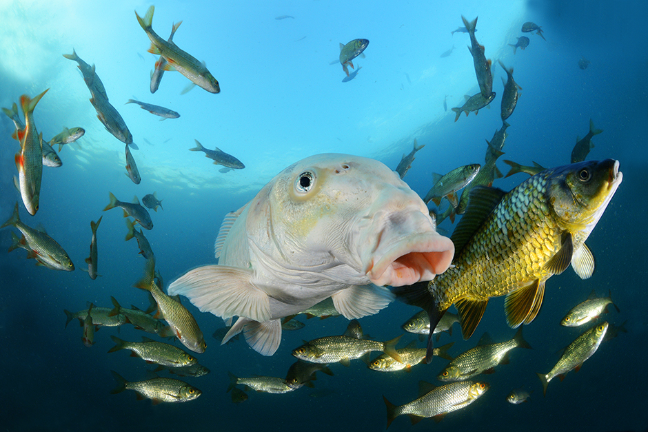 CROPIX/Nicolas Barraque