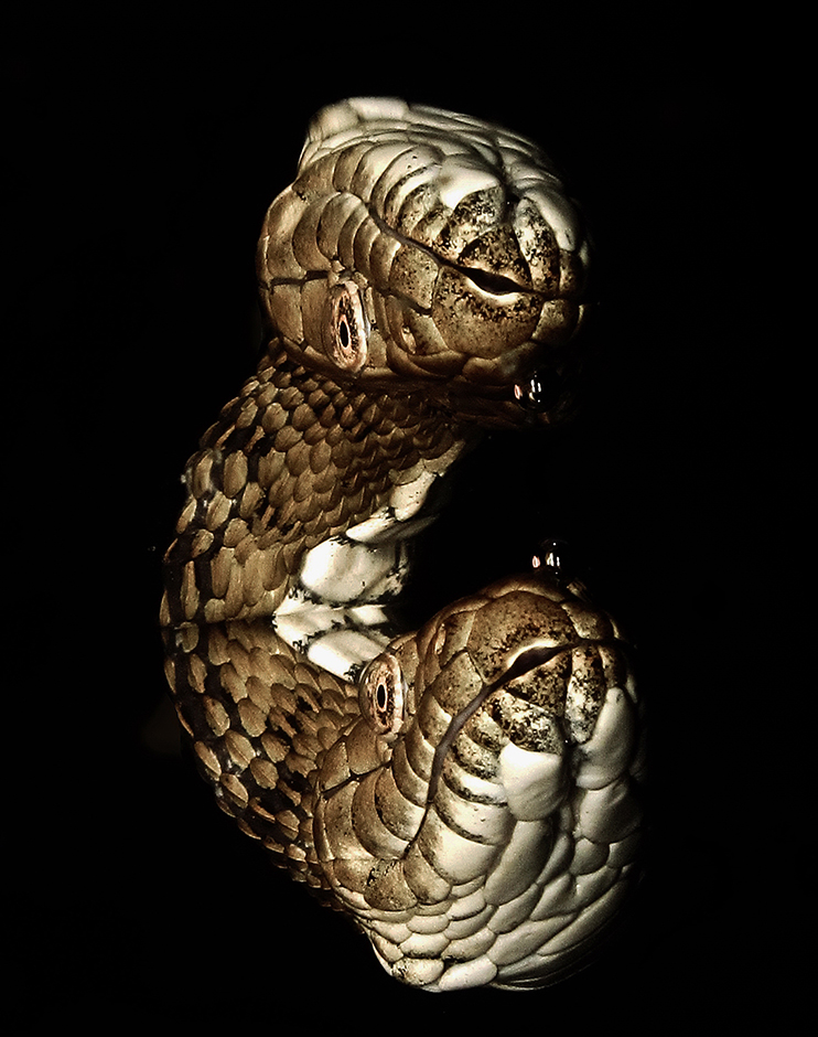 CROPIX/Jovan Petrovski