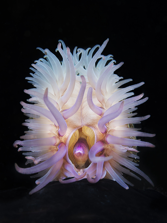 CROPIX/Barbara Camassa