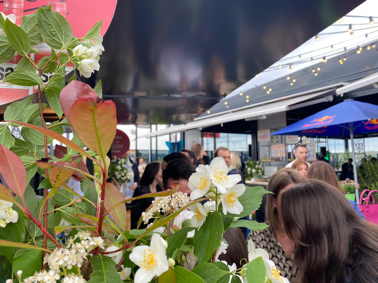 pilot projekt, party, zabava