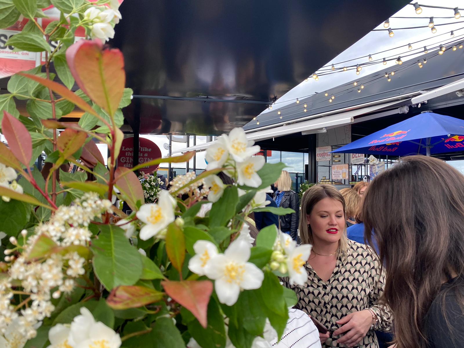 pilot projekt, party, zabava