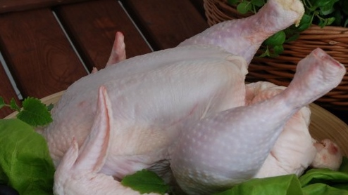 pile piletina MaJaKDS