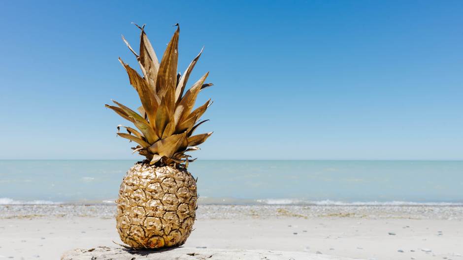 pineapple-supply-co-244487-unsplash
