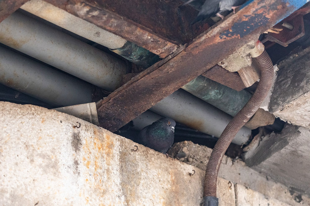 PIXSELL Davor Puklavec (12)