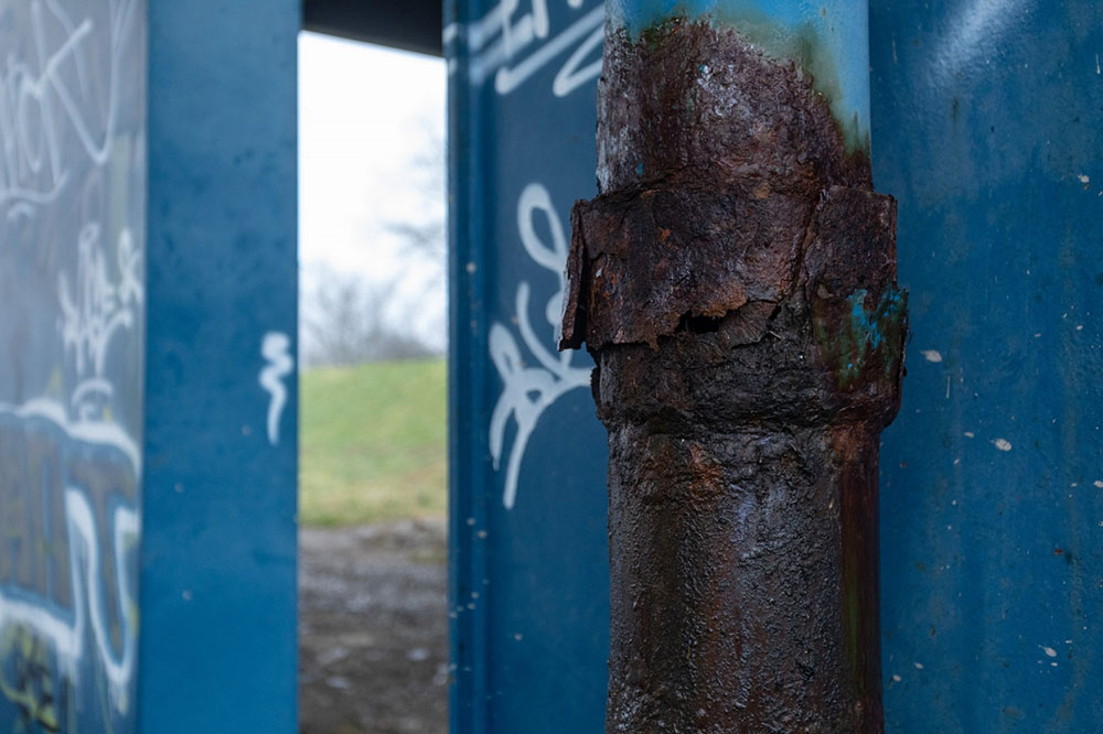 PIXSELL/Davor Puklavec