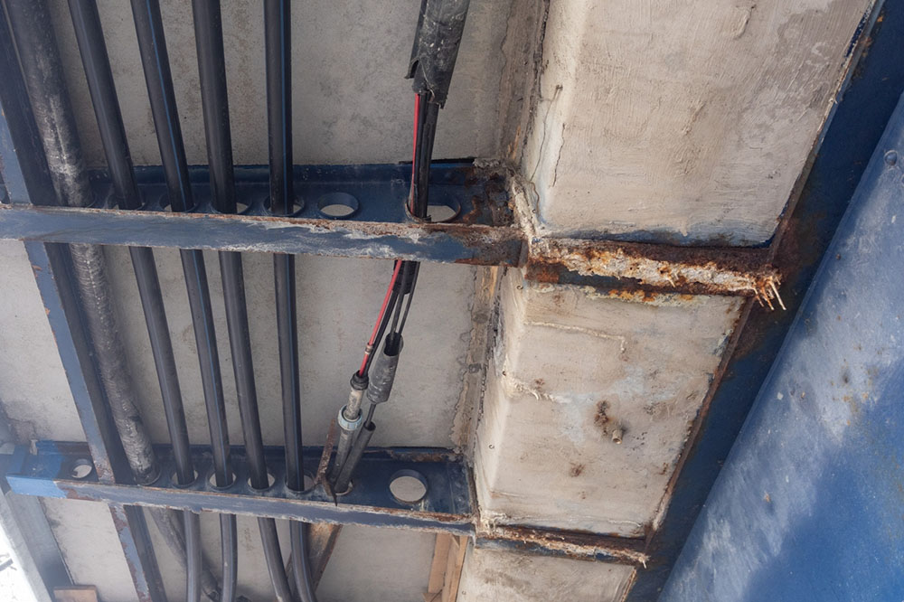 PIXSELL/Davor Puklavec