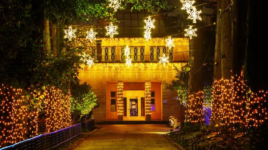 Polarni advent u Divljem srcu grada 1 (foto Hoyka)