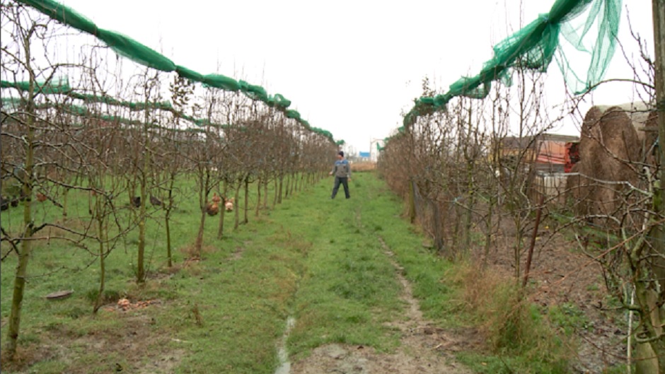 poljoprivreda_polje_selo_n1